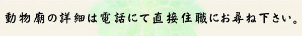 ペット埋葬の詳細は電話にて直接住職にお尋ね下さい。