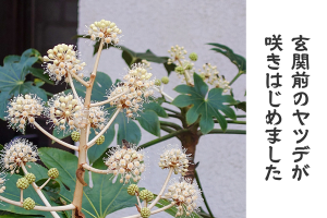 正楽寺様_アイキャッチ画像