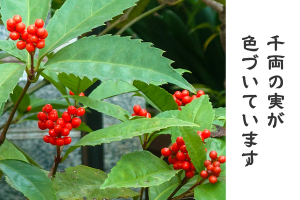 1225_アイキャッチ