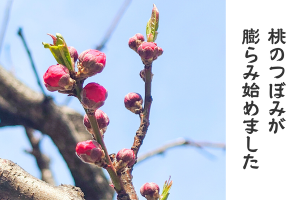 0227_アイキャッチ