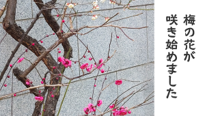 0211_アイキャッチ (1)