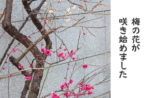 0211_アイキャッチ (1)