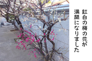 0220_アイキャッチ