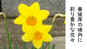 0319_アイキャッチ