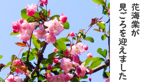 0403_アイキャッチ