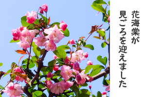 0403_アイキャッチ