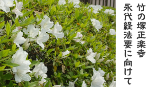 0417_アイキャッチ