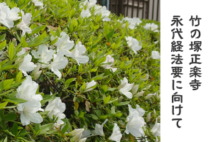 0417_アイキャッチ