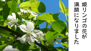 0410_アイキャッチ