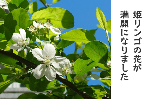 0410_アイキャッチ